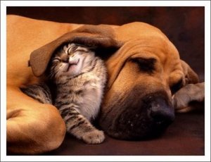 Diferentes, só por fora.